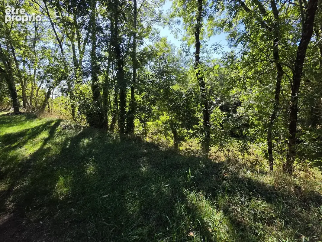 Maison de 84 m2 avec sous-sol complet sur 4 965 m2 de terrain   Accès rivière   Silhac - photo 16