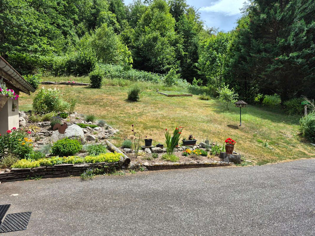 Ferme renovee  cadre nature 2,5 ha de terrain - photo 3
