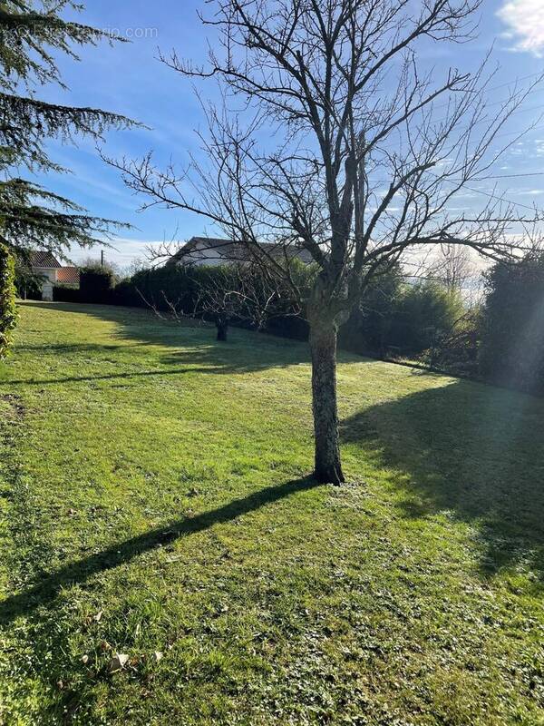 Terrain à LA COTE-SAINT-ANDRE