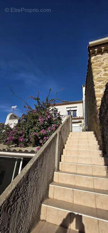 Maison à MOUSSAN