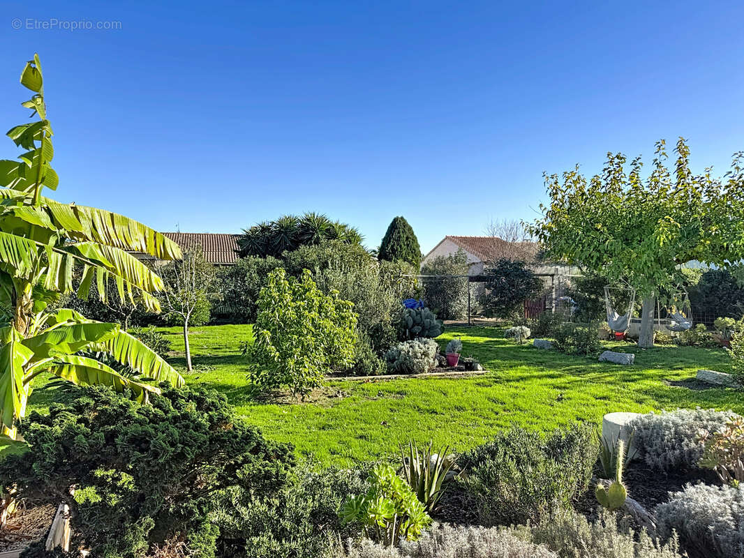 Maison à PRUNELLI-DI-FIUMORBO