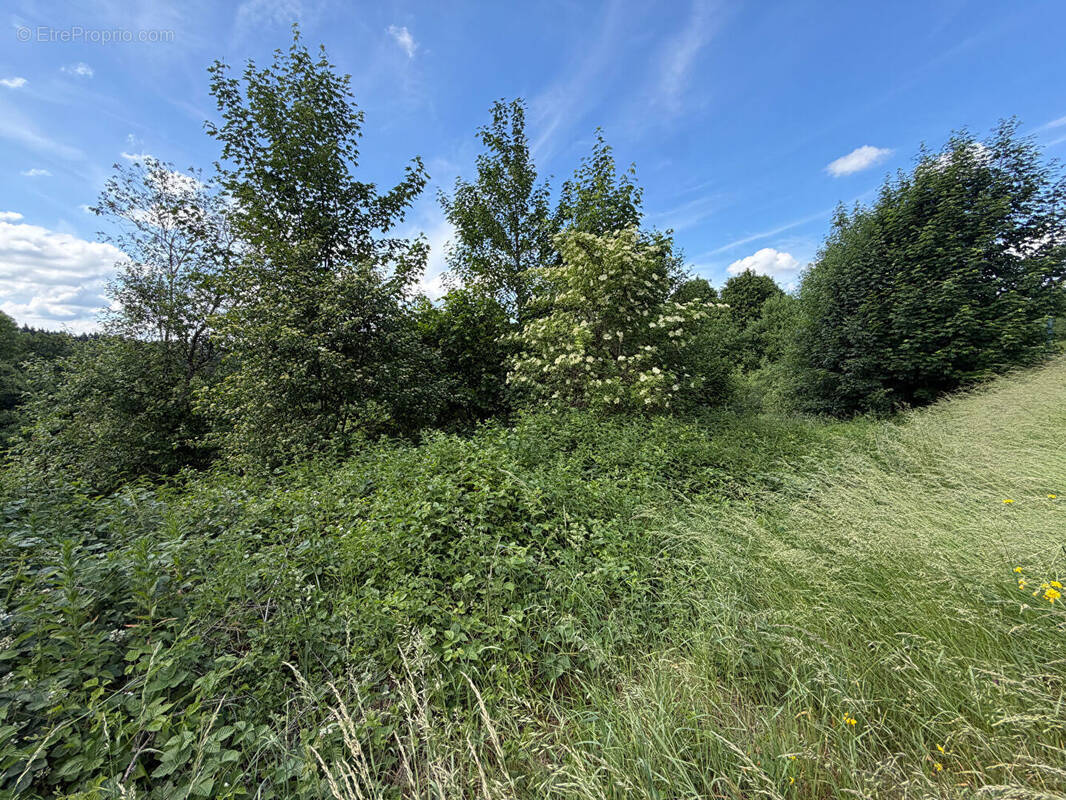 Terrain à MAICHE