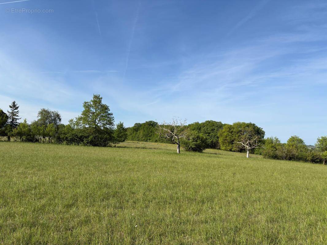 Terrain à VERTEILLAC