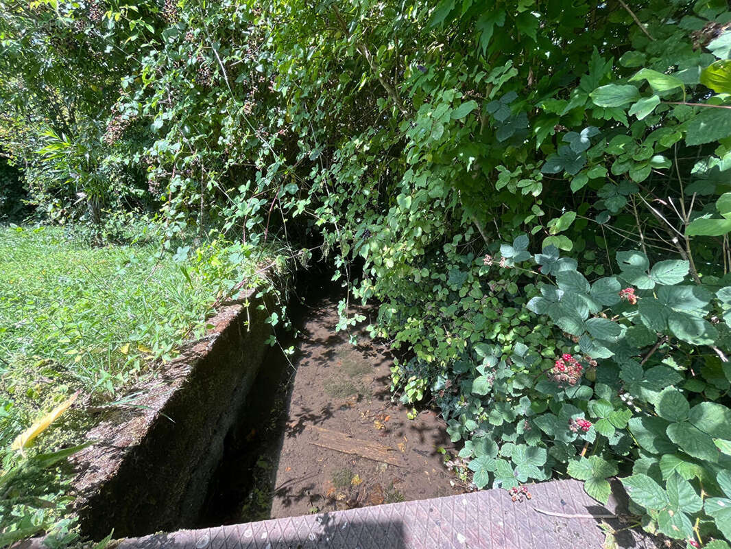 Maison à HENRICHEMONT