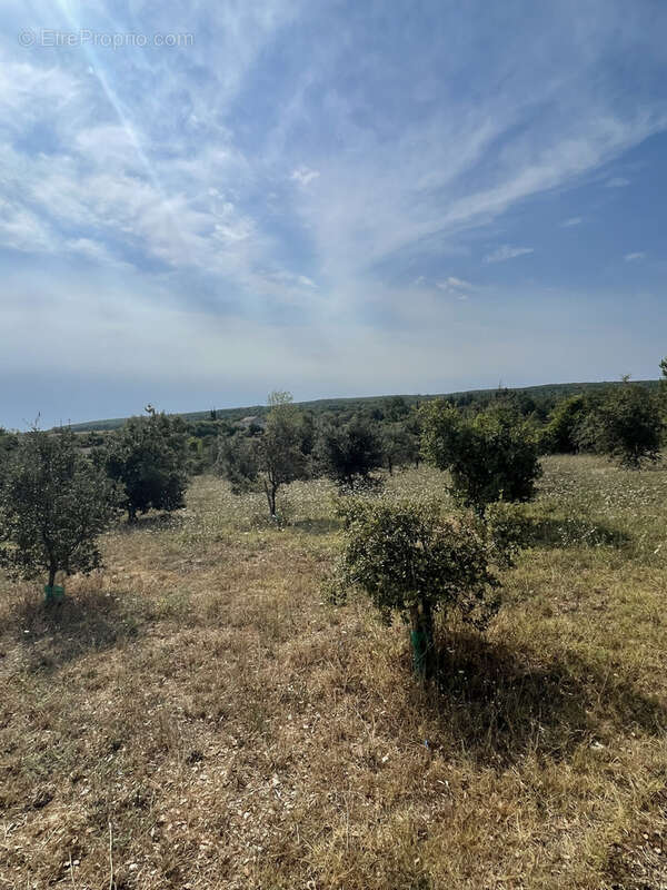 À vendre   Terrain constructible de plus de 1 300 m2 à Issirac - photo 2