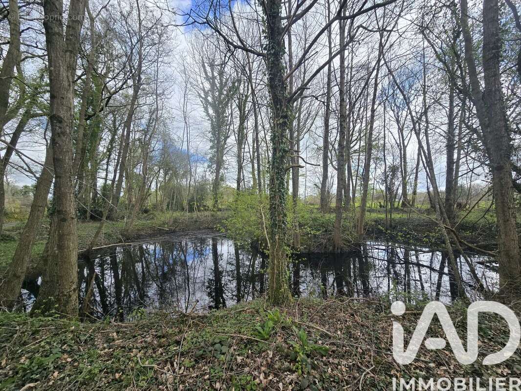 Terrain 4454 m² à Le Theil-En-Auge  - photo 4
