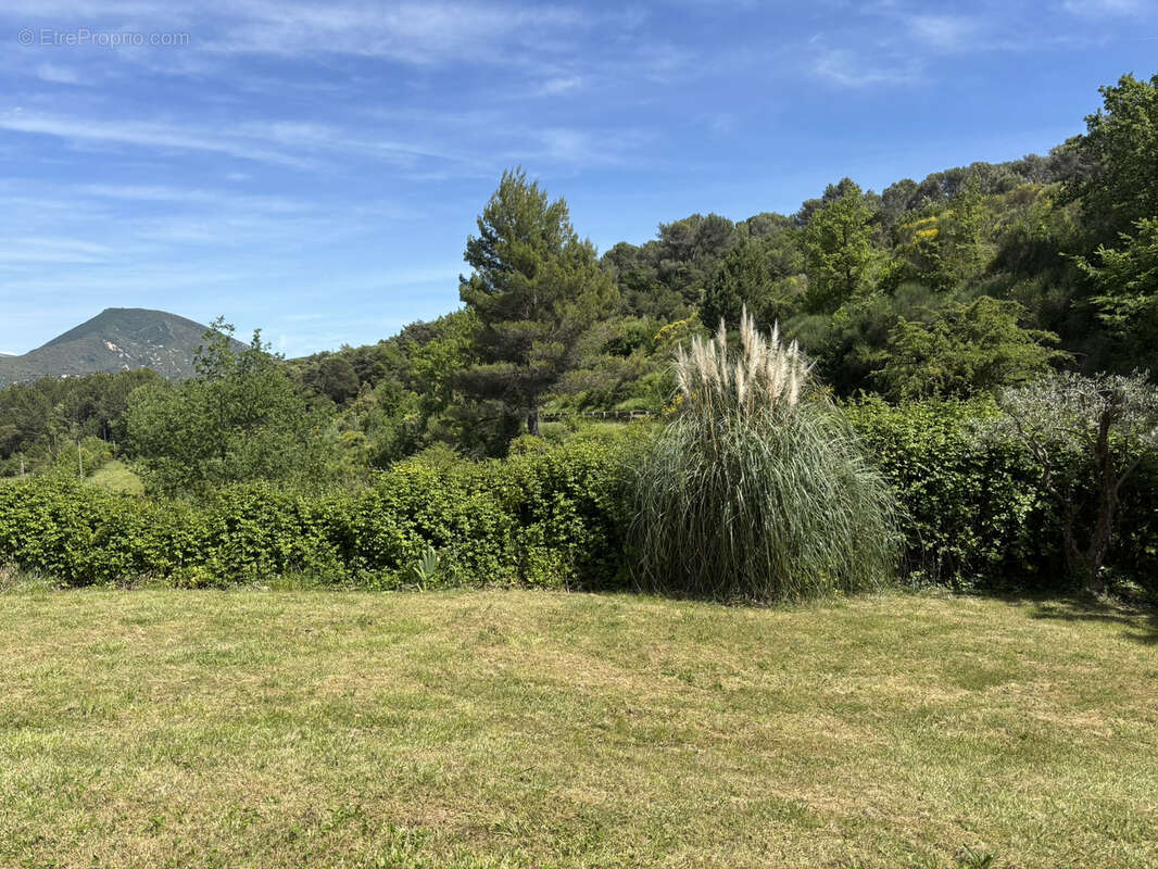 Autre à ENTRECHAUX