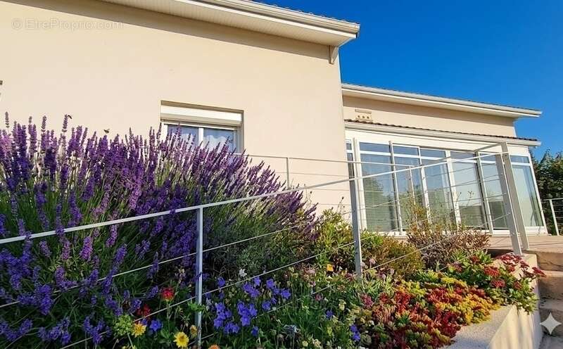 Grande maison à vendre 5 pièces FOUQUEBRUNE (16) + dépendances sur terrain d'env 6800 m2 - photo 3
