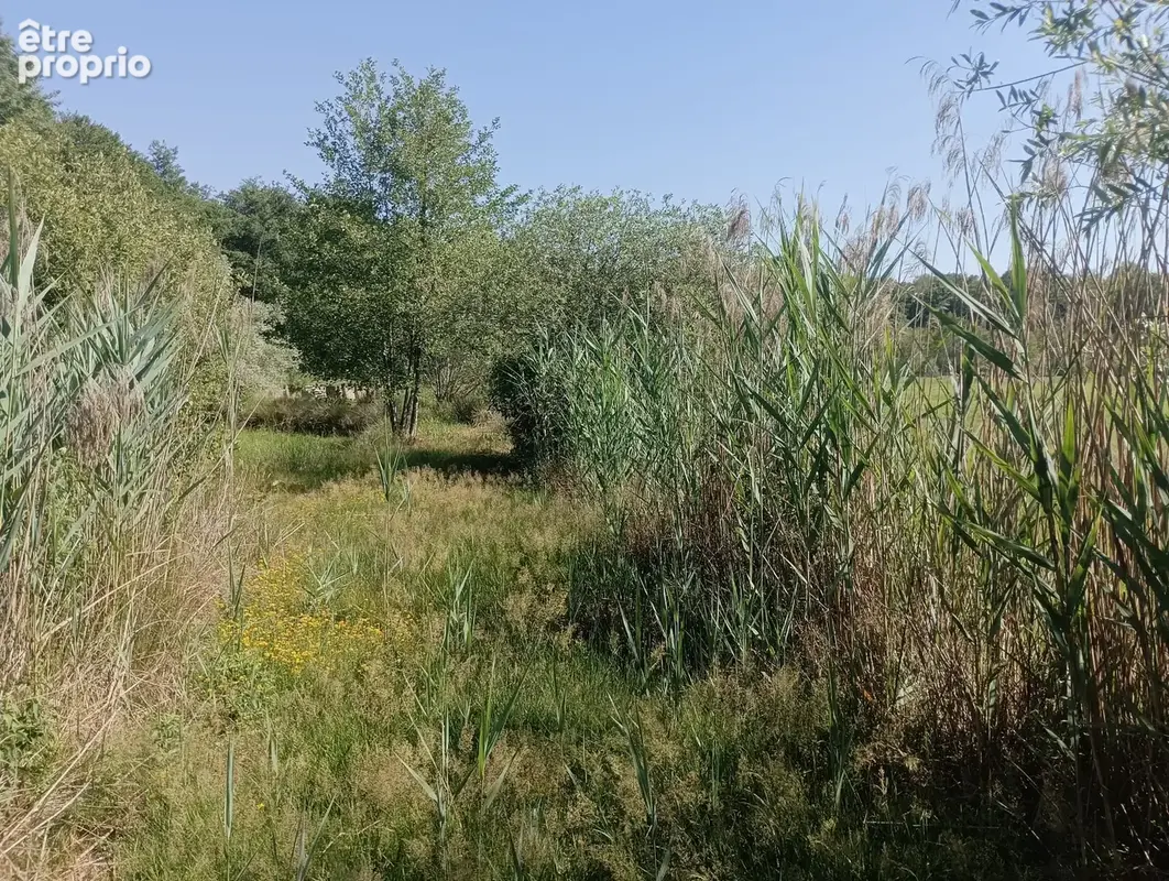 Vente étang de 11 ha environ sur terrain de 14 ha environ AILLONCOURT (70) - photo 11