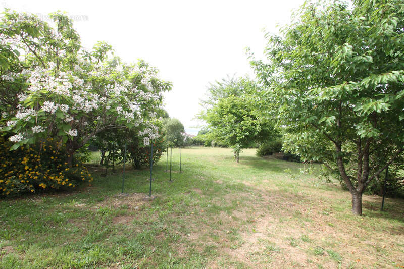 Maison à LAMOTHE-LANDERRON