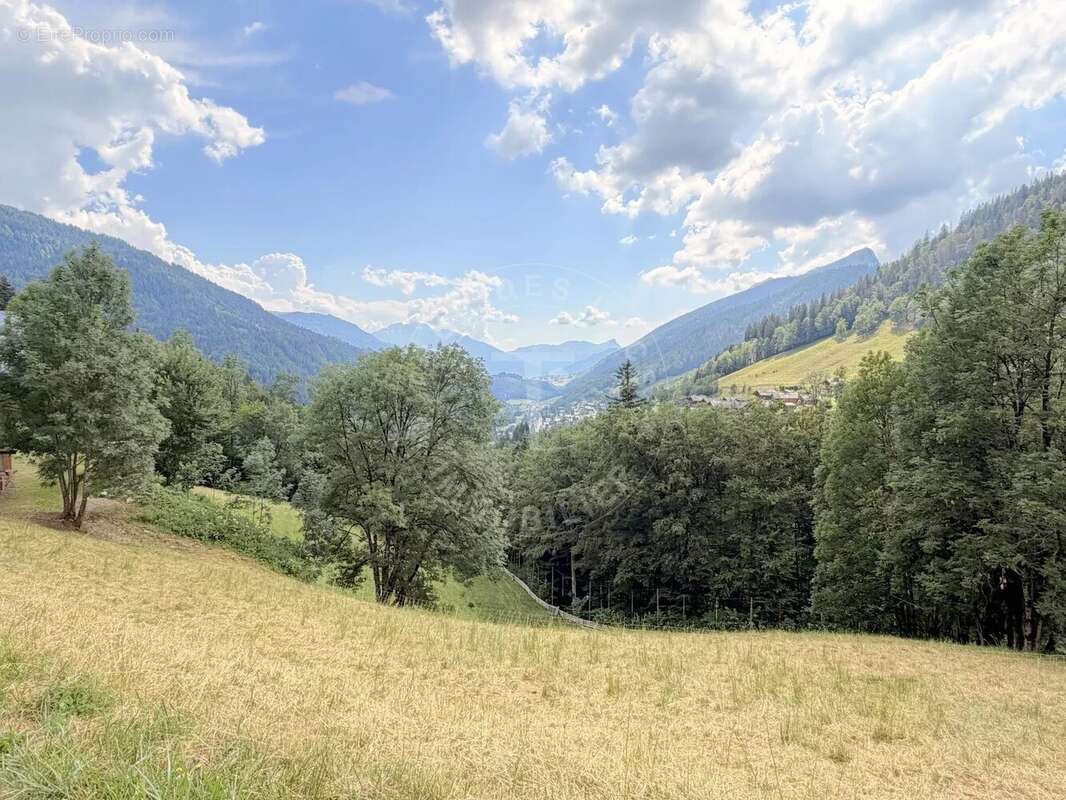Exceptionnel Terrain de 3067 m2 dont 1102 m2 constructible avec permis accepté - photo 2