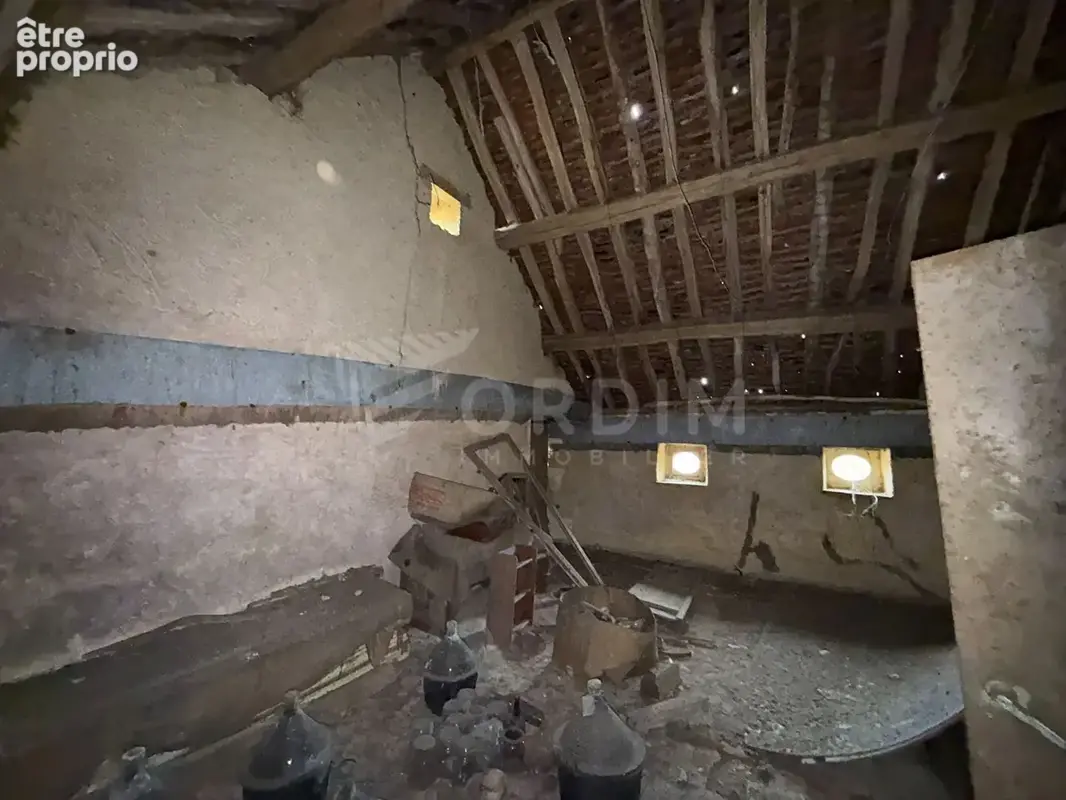 Maison ancienne avec dépendances sur 3 073 m² - Hameau de Treigny (89520) - photo 7
