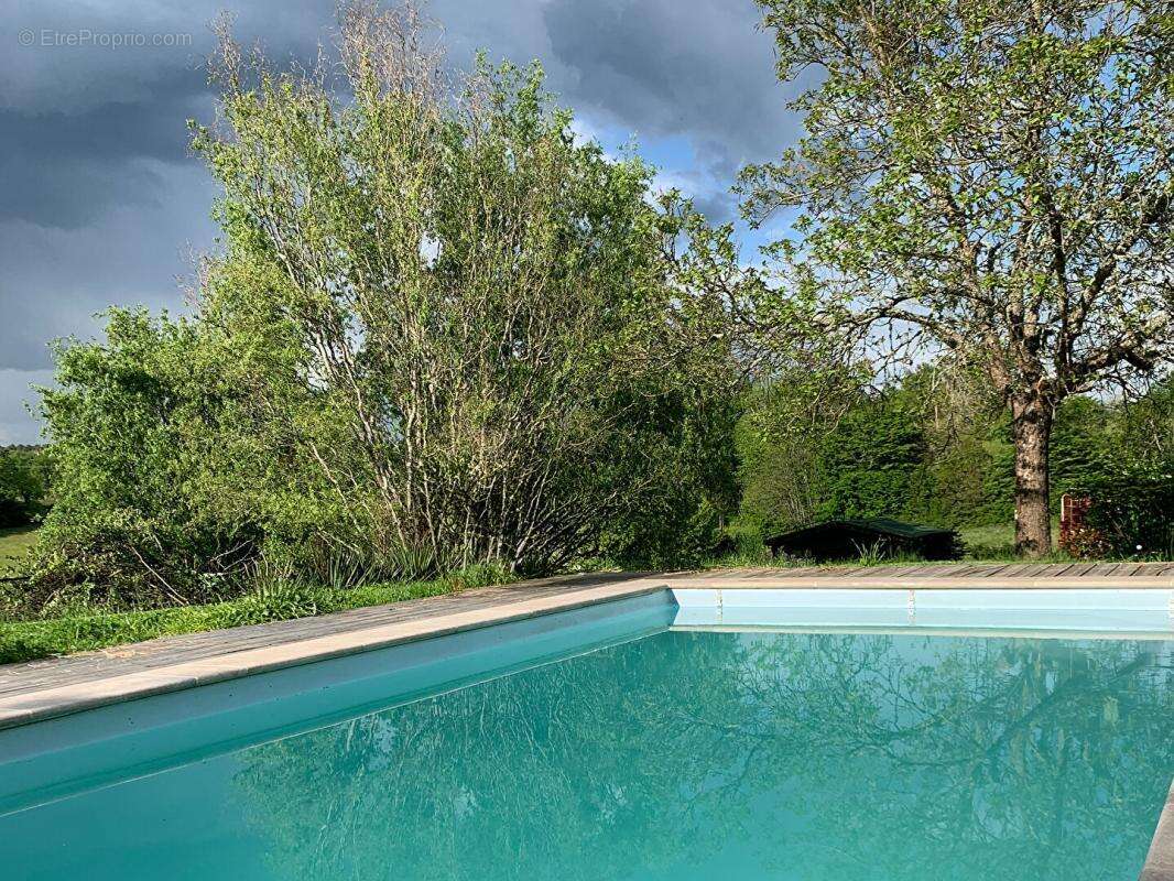 Charmante maison de campagne avec maison d'amis, piscine et intimité totale - photo 14