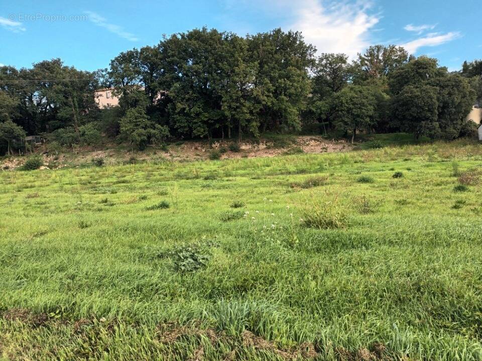 Terrain à VILLELAURE