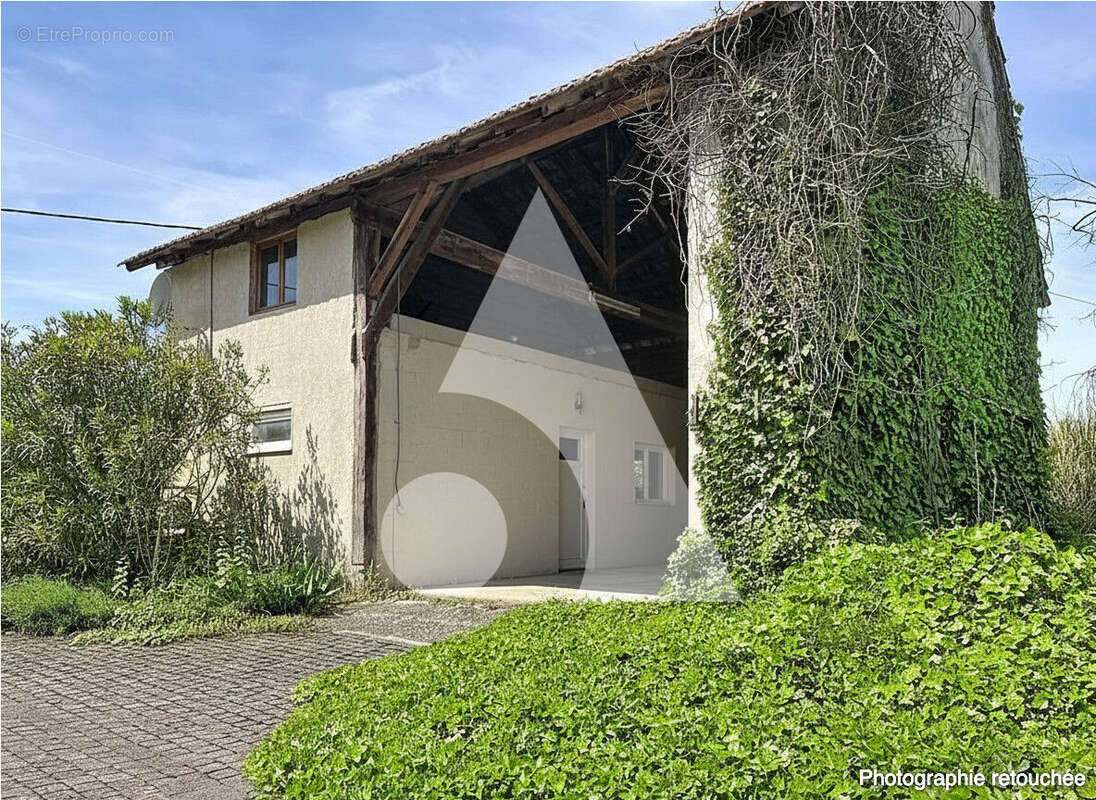 Maison à SASSENAY