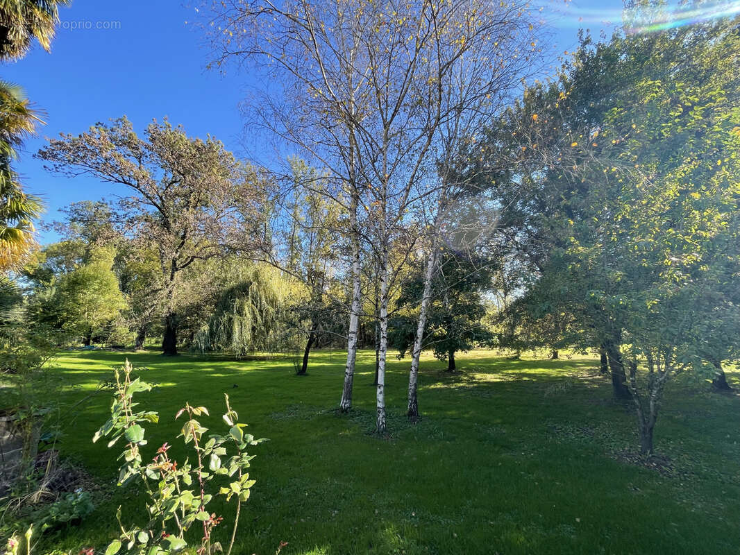 Maison à SAINT-LAURENT-DE-COGNAC