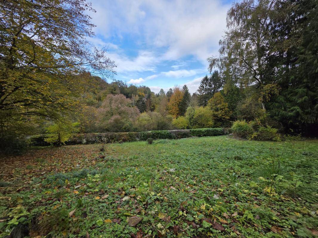 Terrain à SAINT-MARTIN-DU-VIVIER