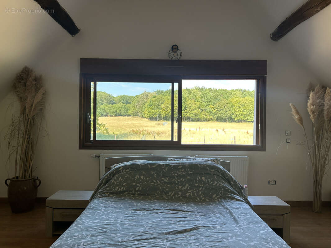 Propriété 3,7 ha : maison ancienne rénovée, mare, friche, bois, prairie - photo 10