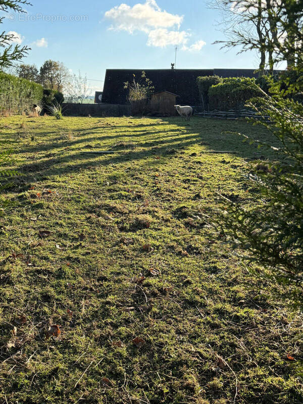 Photo 1 - Terrain à GERVILLE