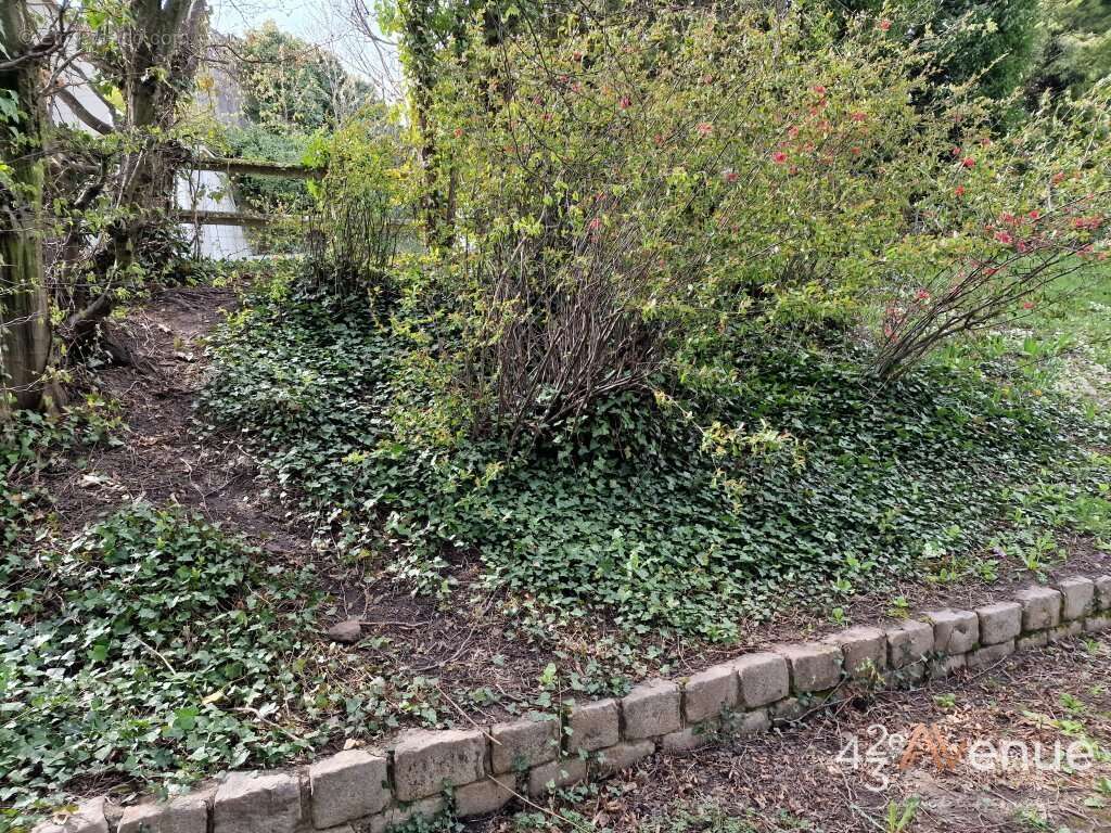 Terrain à SAINT-ETIENNE