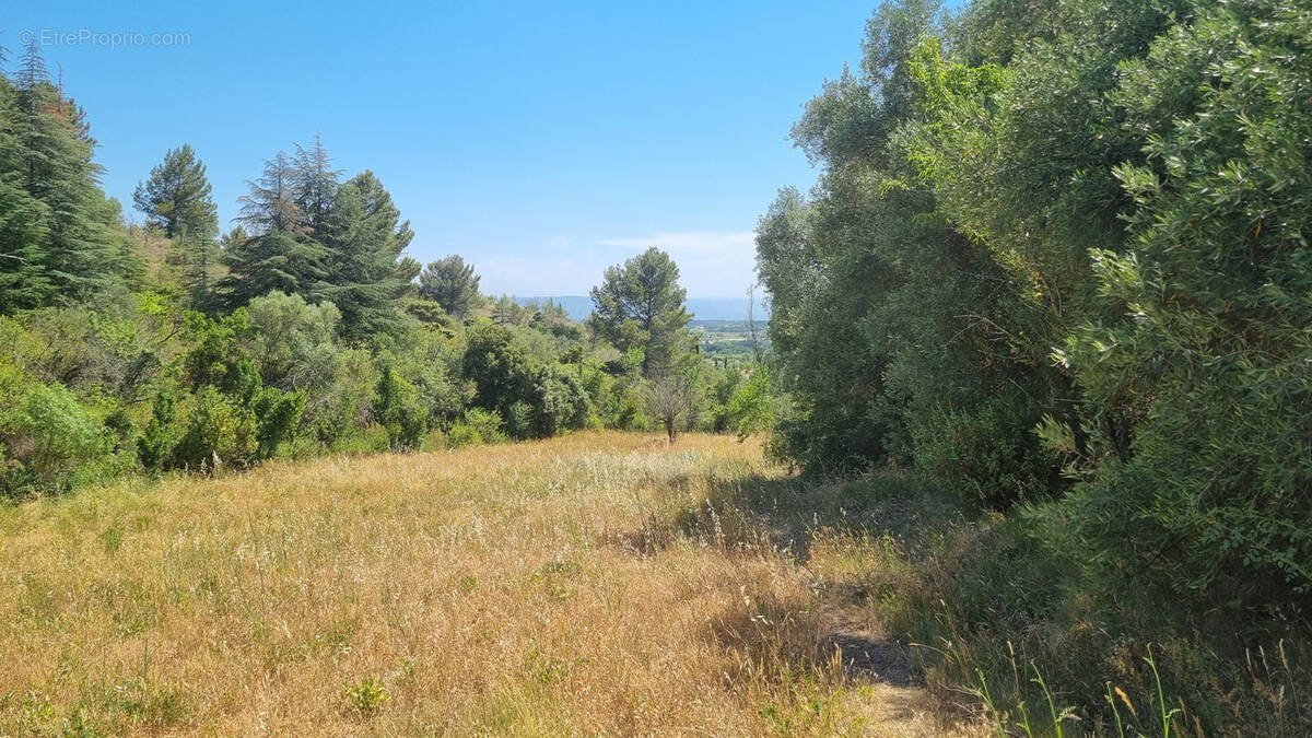 Terrain à CAUNES-MINERVOIS