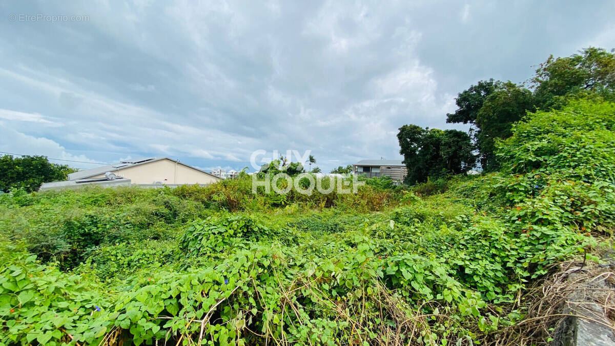 Terrain à LE TAMPON