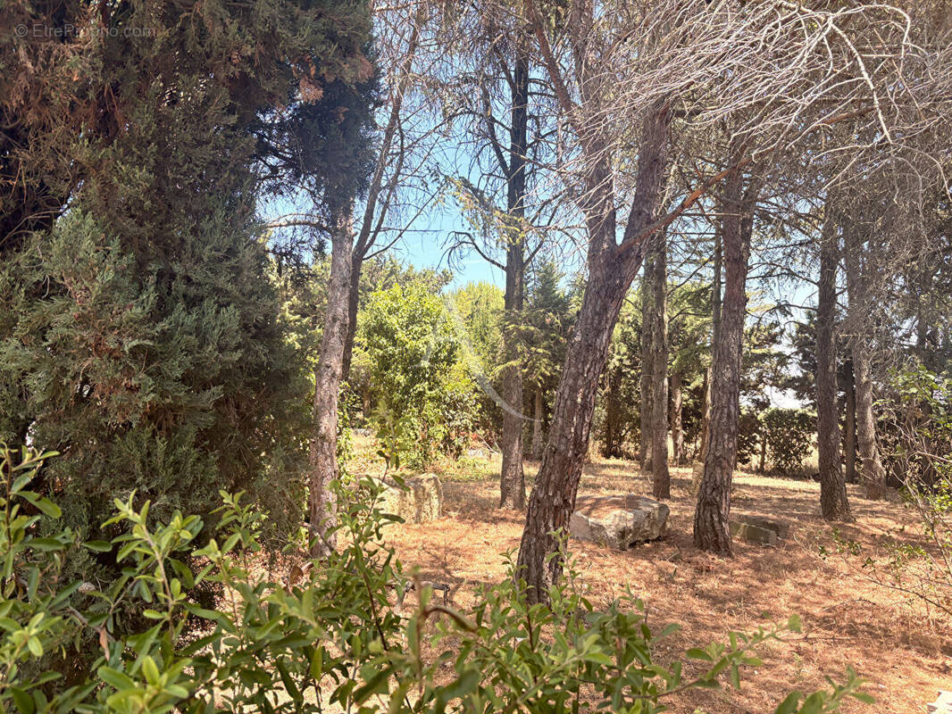 Terrain à VILLEGAILHENC