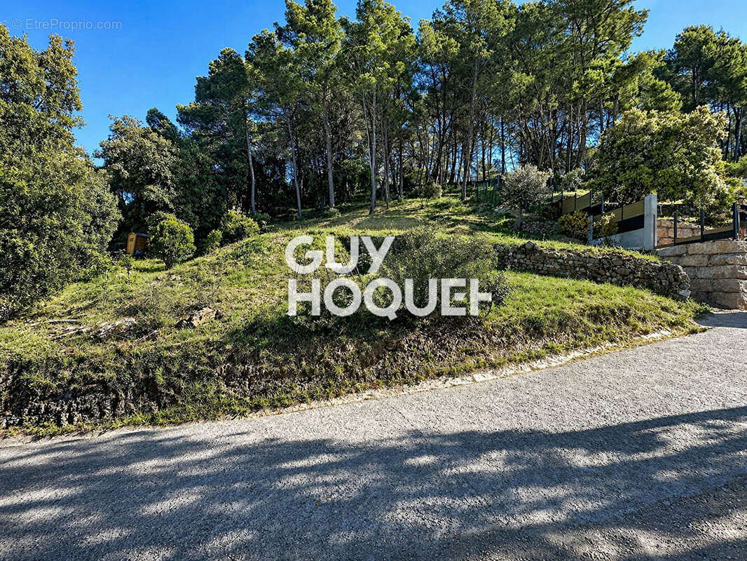 Terrain 2006 m2  Constructible -Pégomas - photo 6