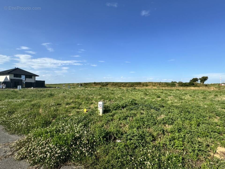Terrain à ANNOEULLIN