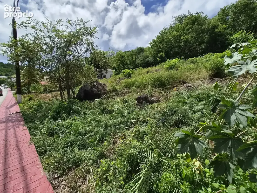 Terrain constructible 800m2, sur l'ile de Terre de Bas - photo 2