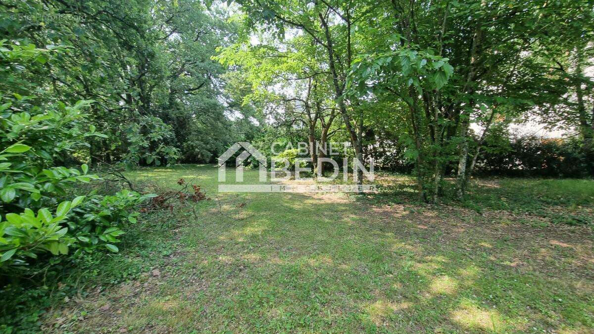 Maison à TOURNEFEUILLE