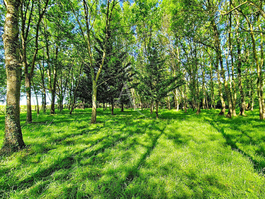 Terrain à CHAVAGNES