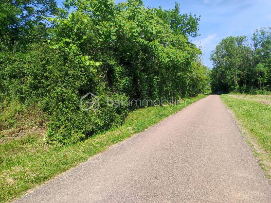 Terrain à SAINT-FLORENTIN