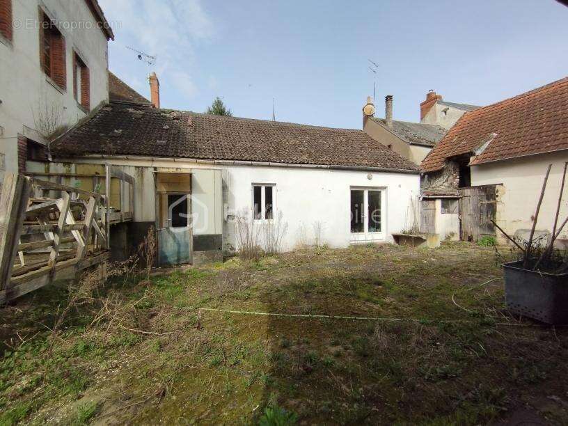 Maison à OUZOUER-SUR-TREZEE