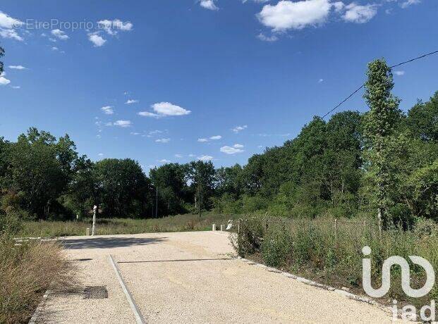 Photo 1 - Terrain à SOIGNOLLES-EN-BRIE