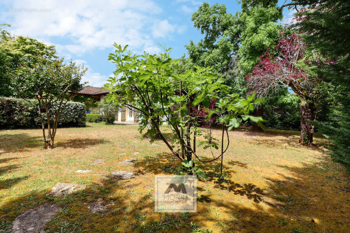Maison à LE BOUSCAT