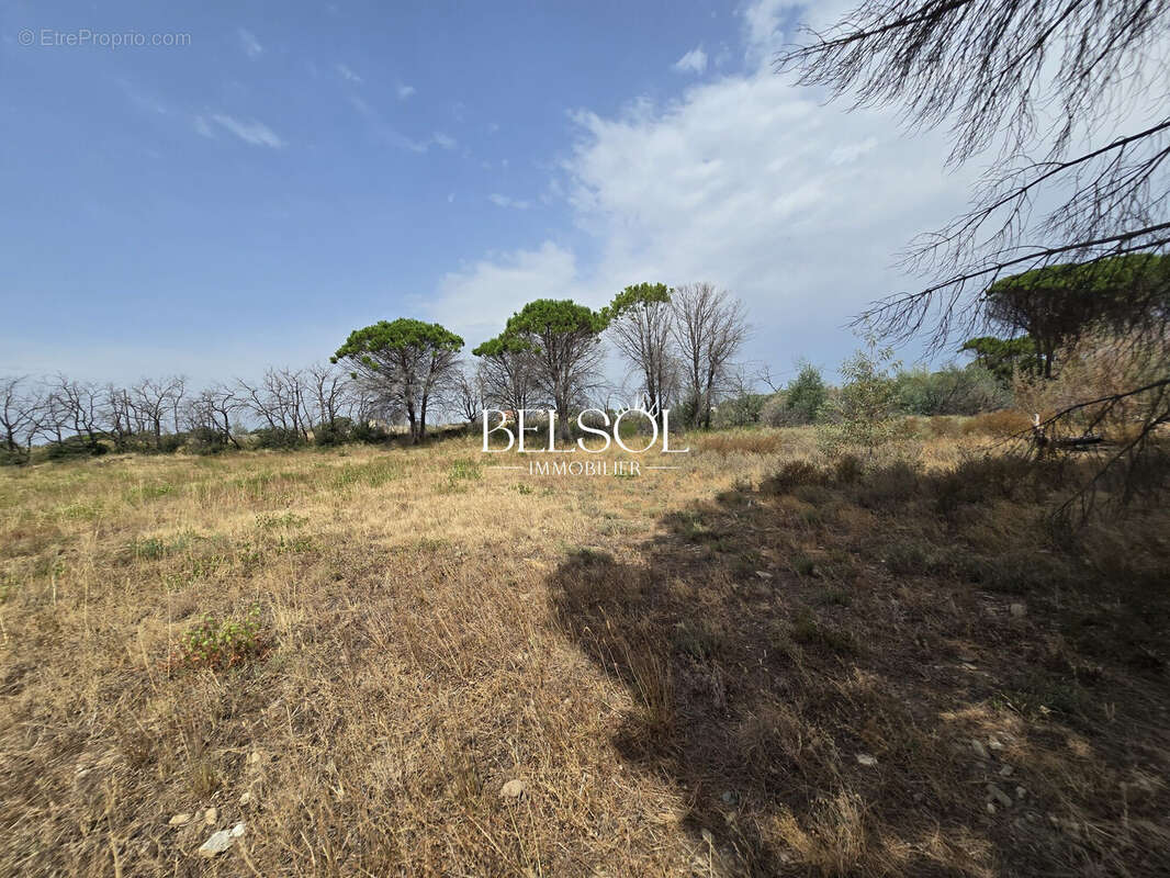 Terrain 4340 m² à Argeles-Sur-Mer  - photo 5