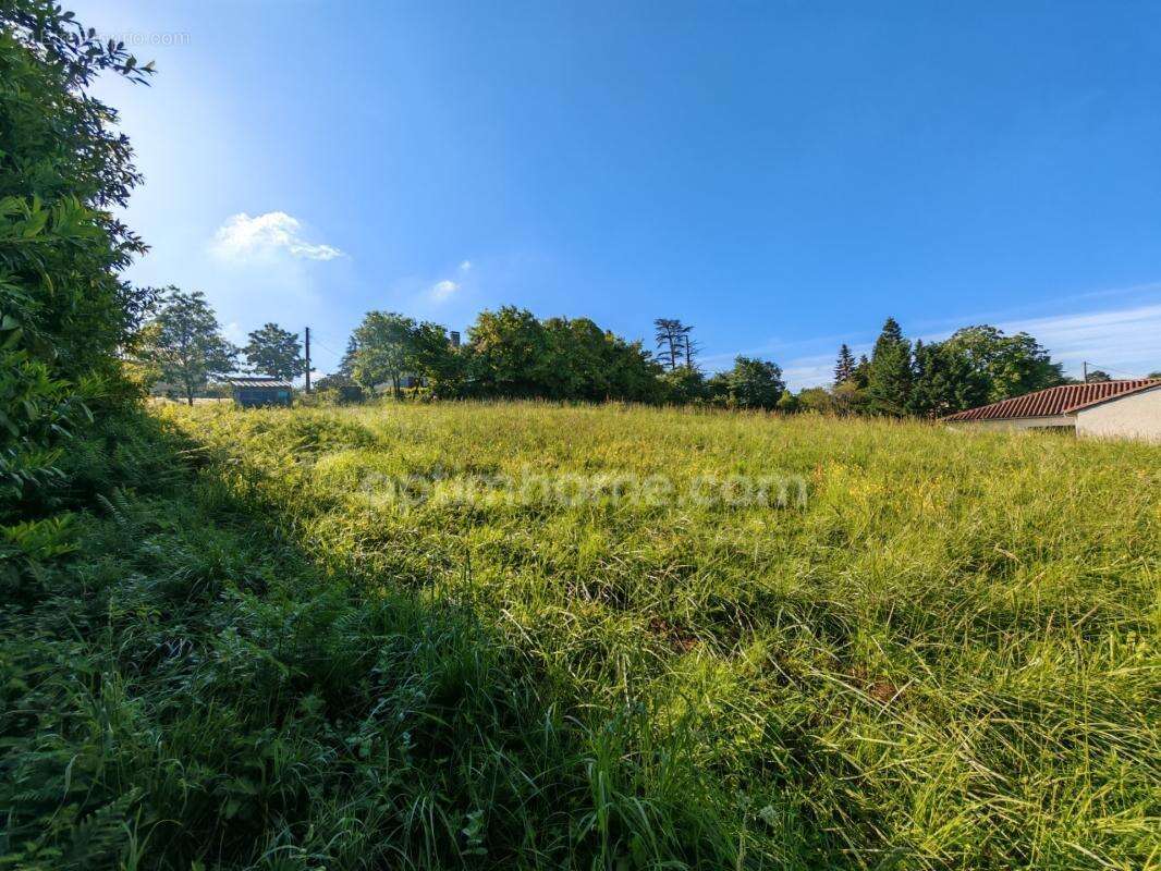 BAISSE DE PRIX !! Terrain constructible de 1 650m² situé à EAUZE (32) - photo 6