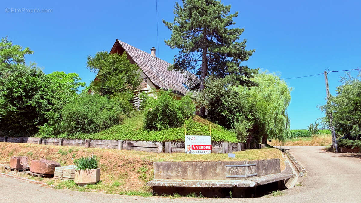 Maison - 191m2 - 6 chambres - Terrain 1053m2 - En limite de zone constructible en haut de Zellenberg ! - photo 5