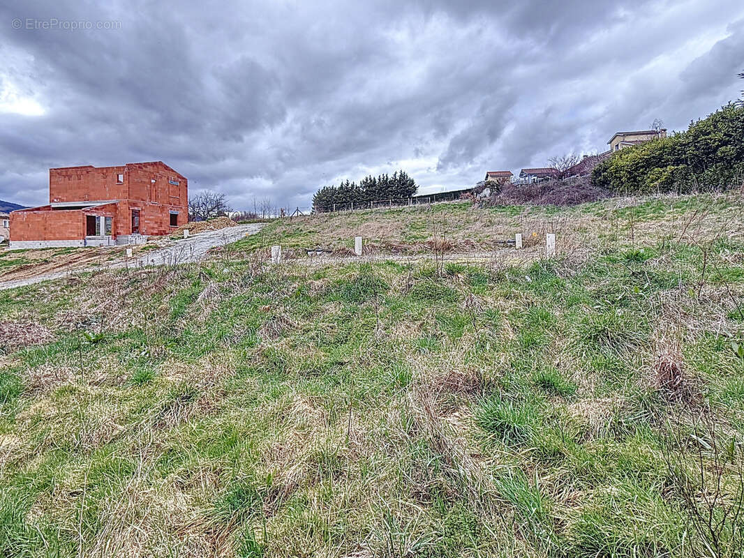 Terrain à LES HAIES