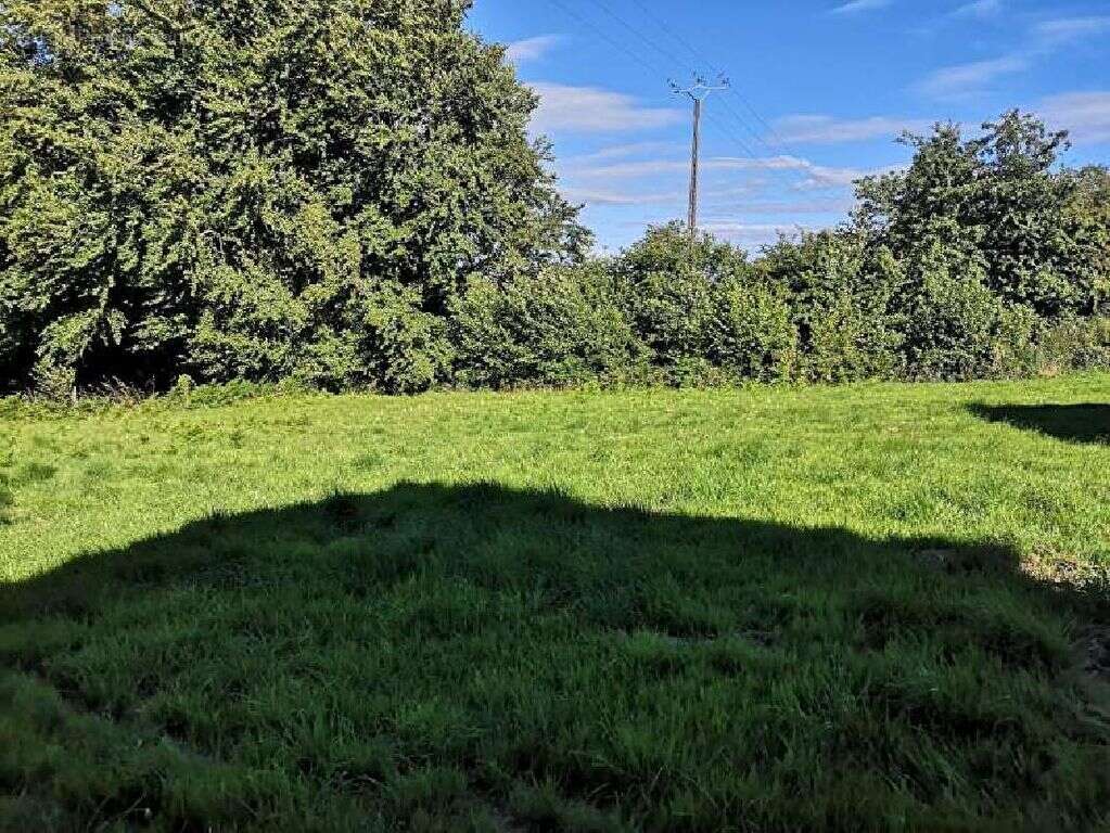 Maison à TINCHEBRAY