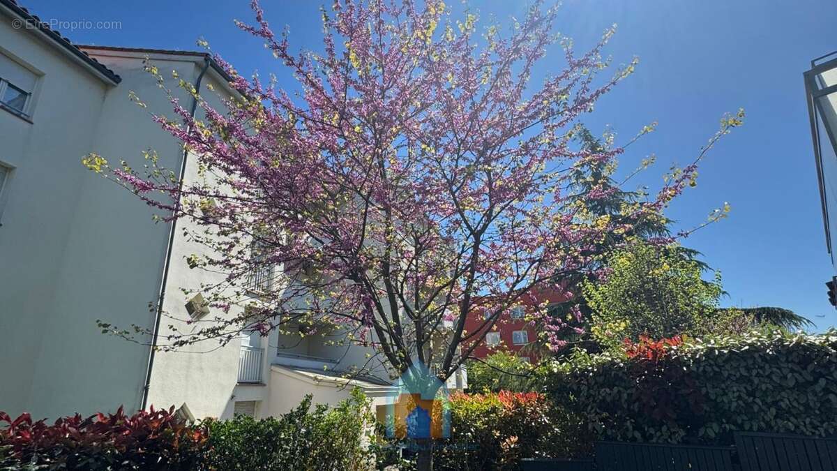 Appartement à BLAGNAC