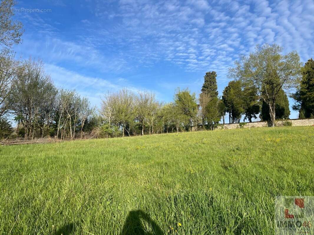 Terrain à LABASTIDE-MURAT