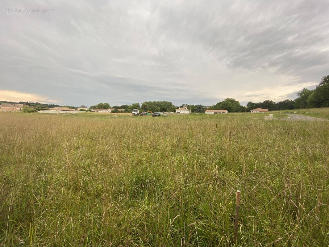 Terrain à CAUNEILLE