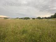 Terrain à CAUNEILLE