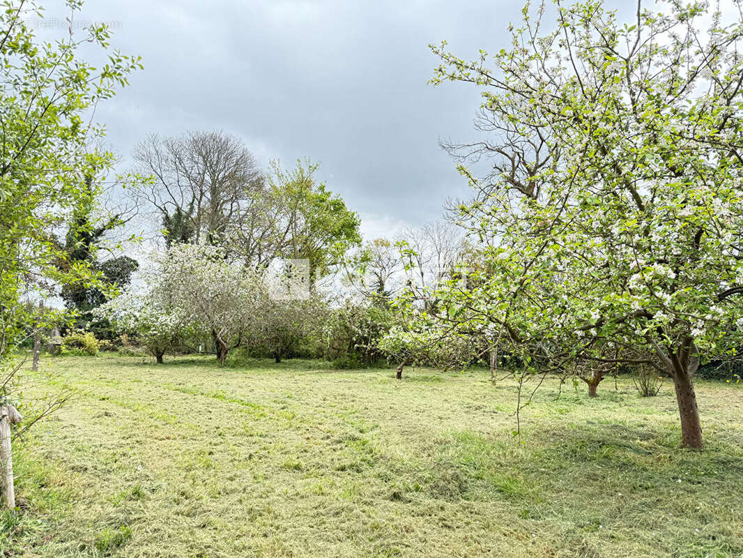 Maison à SAINT-AGATHON