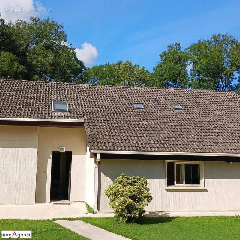 Maison à BELHOMERT-GUEHOUVILLE