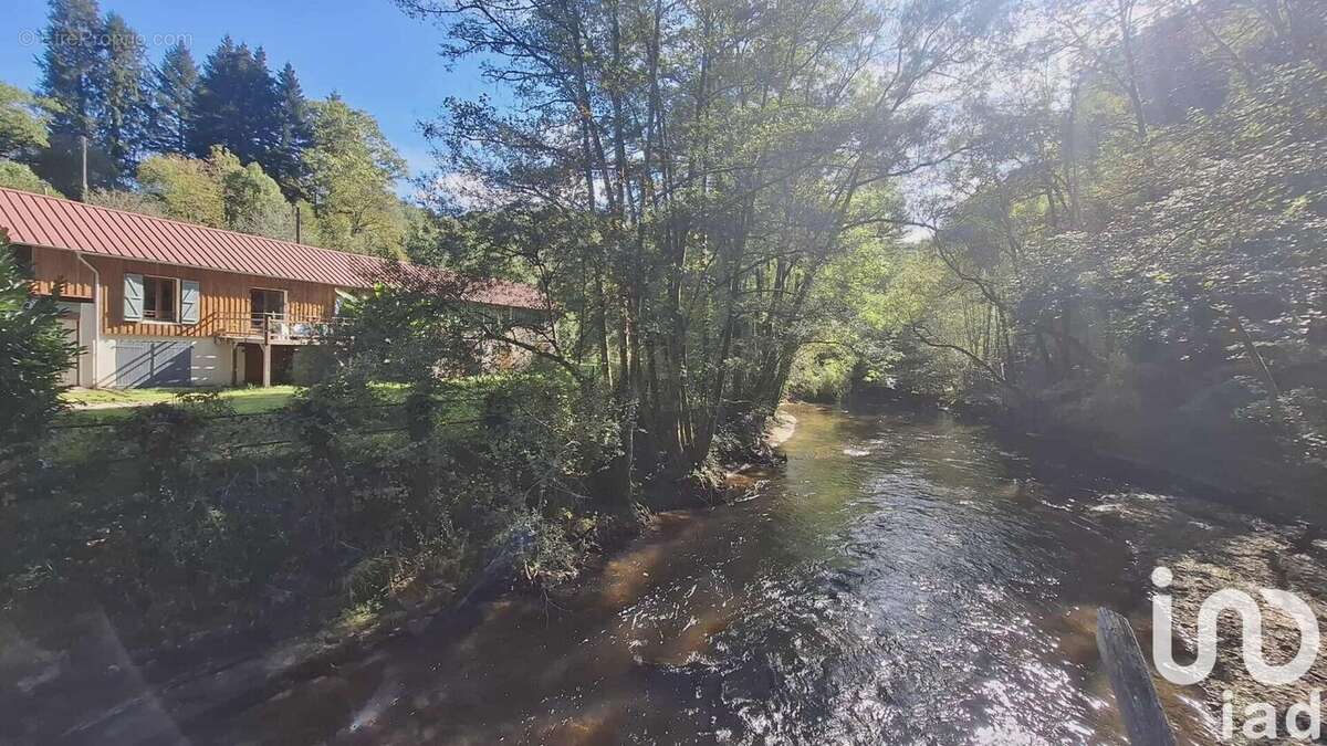 Photo 4 - Maison à TULLE