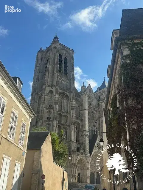Maison 20 pièces 640 m² à vendre à Bourges (18000) - photo 2