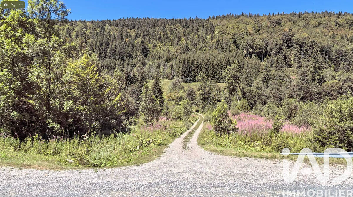 Photo 1 - Terrain à SEPTMONCEL